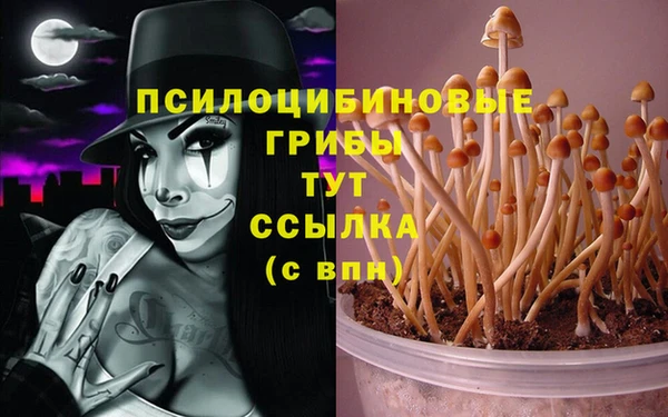 мескалин Арсеньев